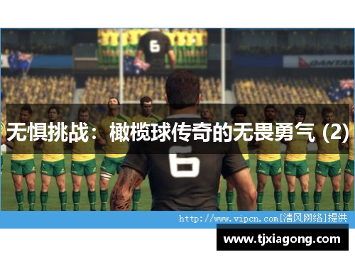 无惧挑战：橄榄球传奇的无畏勇气 (2)